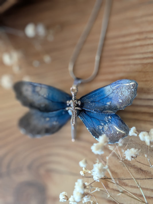 Schmetterling Liemora
